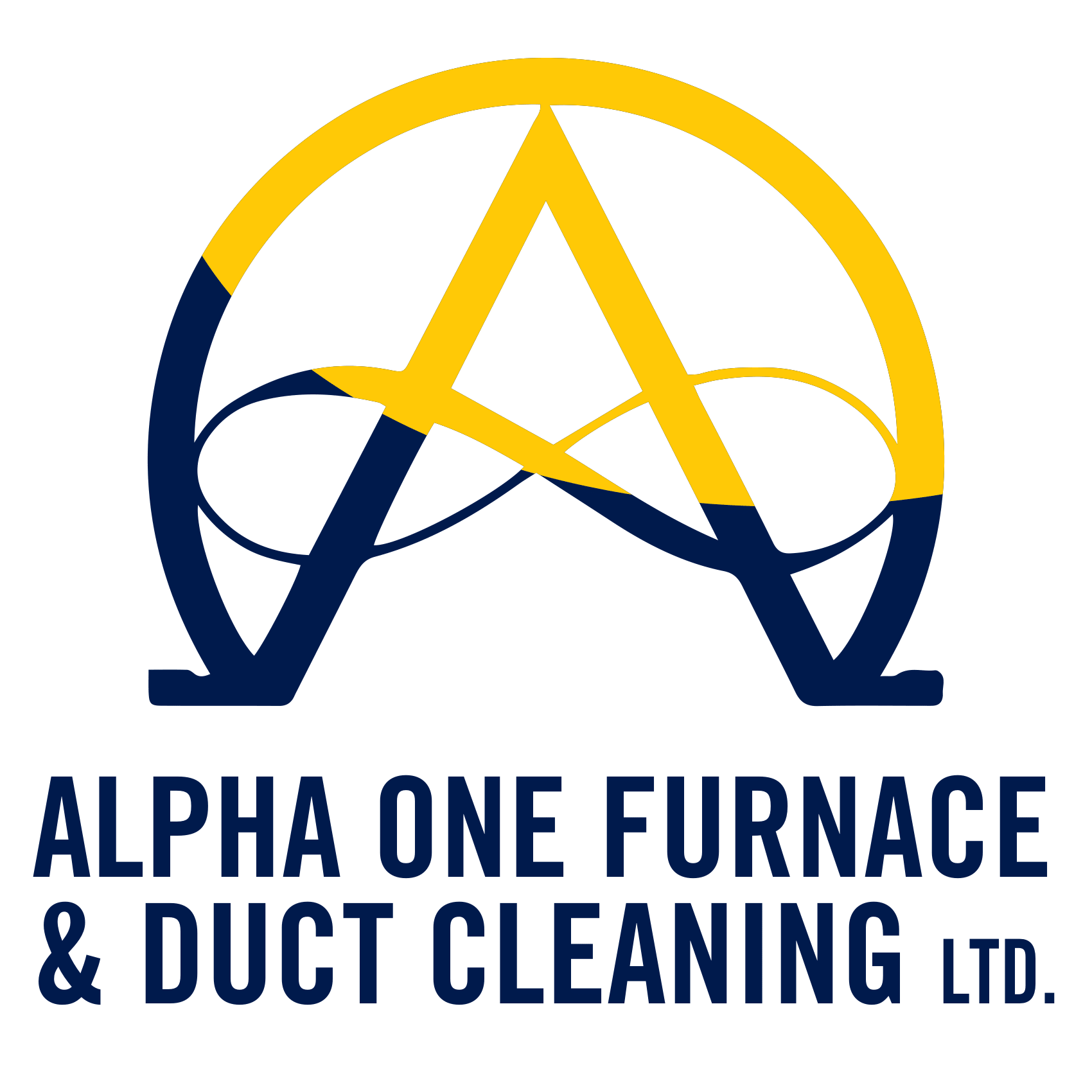 Alpha One Furnace  - Alpha One Furnace Cleaning